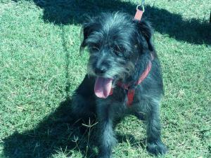 smaller-judi-twiggles-at-hoffman-park-d-10-01-14