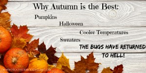 why-autumn-is-the-best