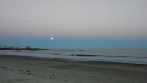 mybeachspot2
