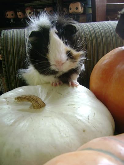 Finny would like you to know that without the support of viewers like you, he might not make it into more than the two paintings (iPiggie and The Finny Awakens) you can currently get on throw pillows.