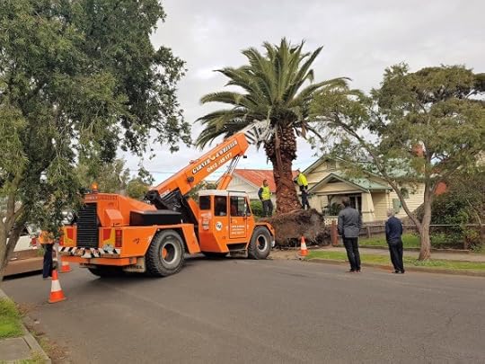 A palm tree down the street is moving out. Off to a cafe on the other side of town.