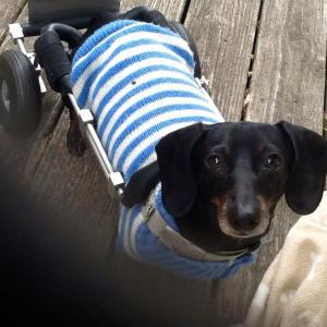 Joie in her caterpillar sweater