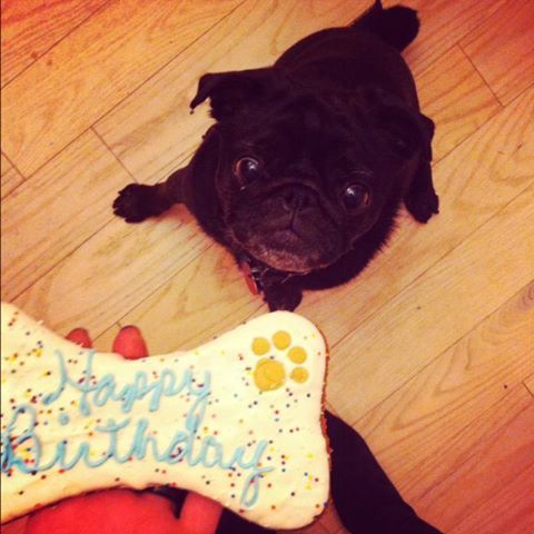 578412_10151288410164739_633674890_n