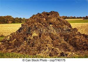 bullshit-pile