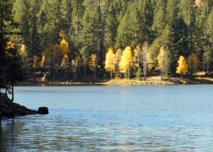 Bear Canyon Lake