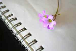 spring-notebook-1615550-1599x1066