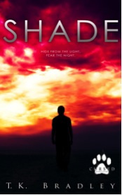 shade-book-cover