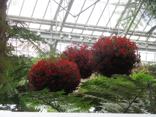 Longwood Gardens 042