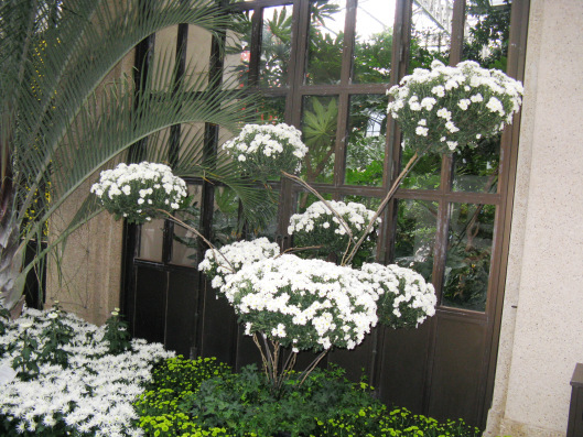 Longwood Gardens 040