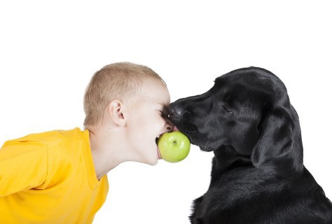 prevent dog bites with common sense