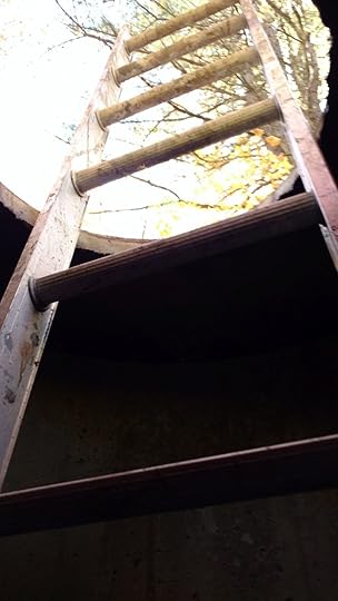 In my well, looking towards the sky.