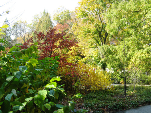 Longwood Gardens 015
