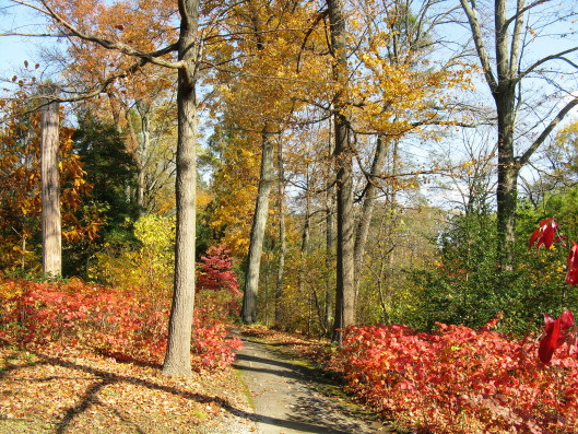 Longwood Gardens 006