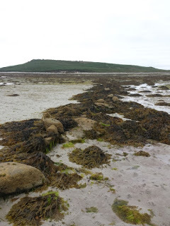 Tidally submerged field wall, Samson, Scilly Isles