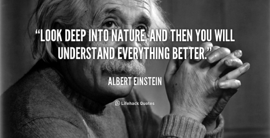 quote-albert-einstein-look-deep-into-nature-and-then-you-625