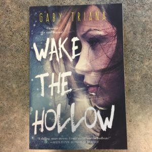 wake-the-hollow