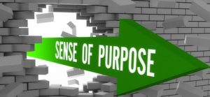 sense of purpose