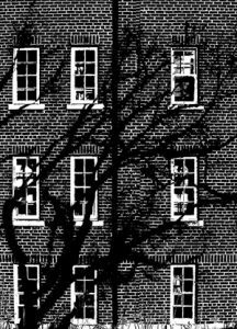 the-creeping-shadow
