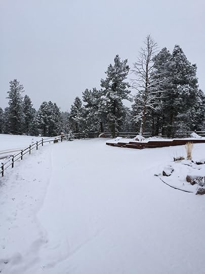 Snowy morning