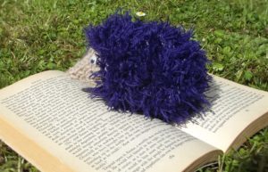 purple hedgehog with book