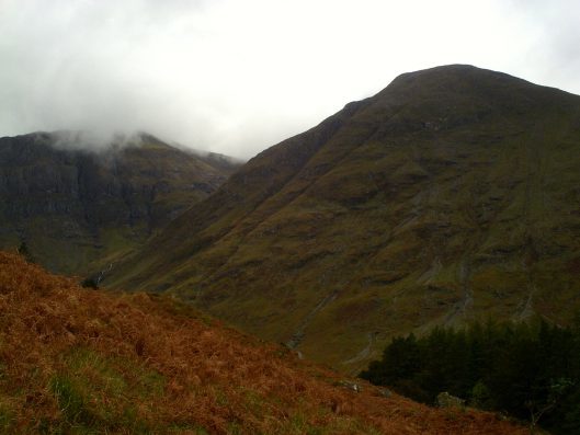 My beautiful picture
