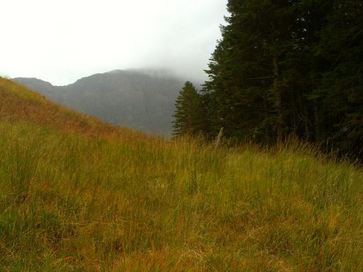 My beautiful picture