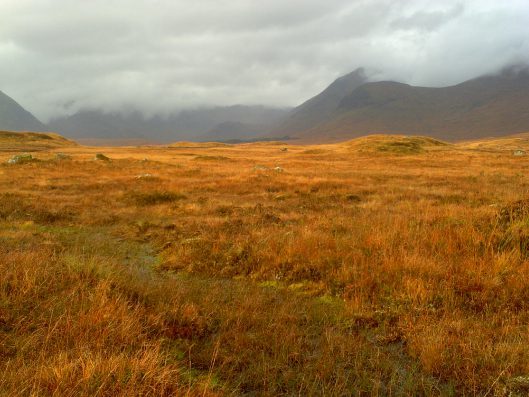 My beautiful picture