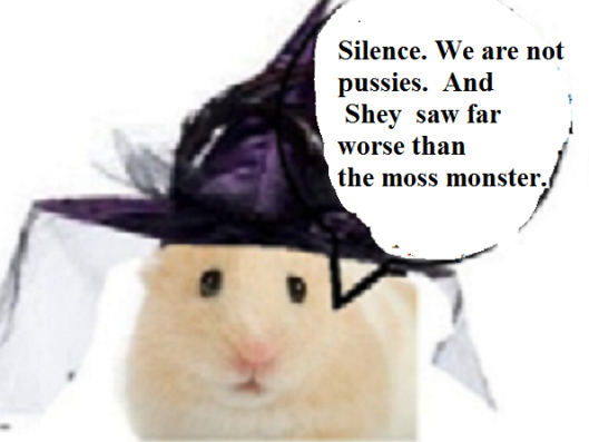 zsilvsounfair278787878787878