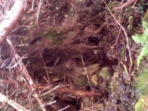 My beautiful picture