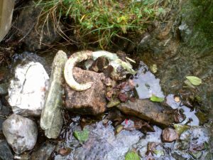 My beautiful picture