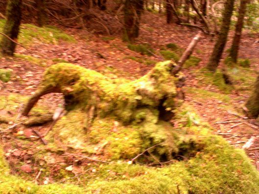 My beautiful picture