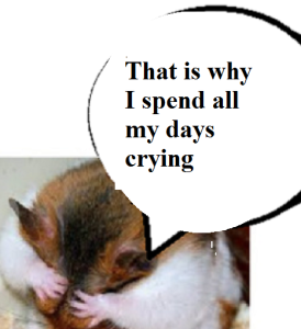 zdickensnsnnnsnsfdnfbdsnfbdnfbdnfbdnfbdnf