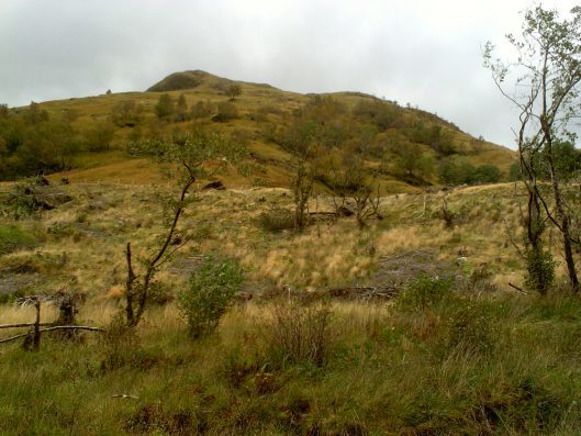 My beautiful picture