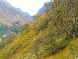 My beautiful picture