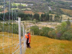 My beautiful picture