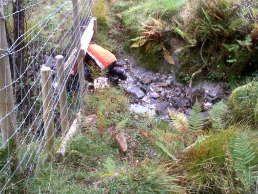 My beautiful picture