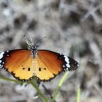 img_6357