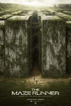 maze