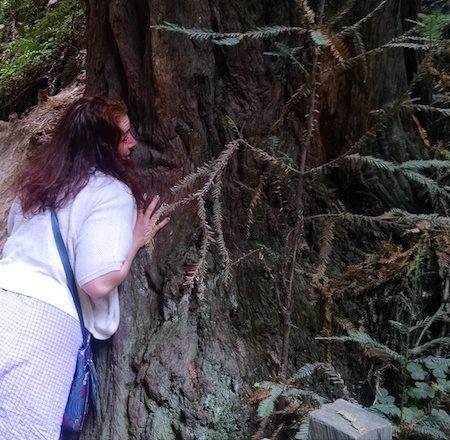 eleni-tree