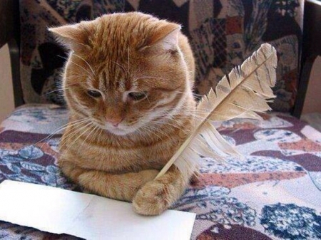 Image result for animals writing