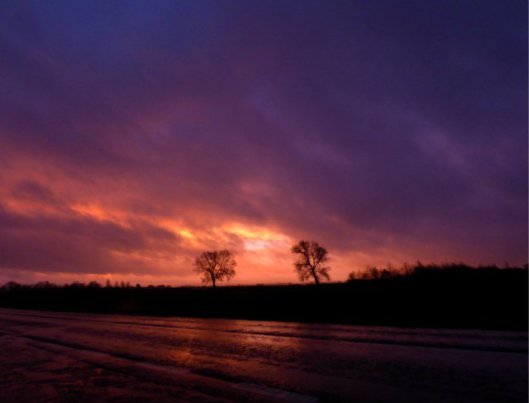 violet sky