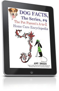 ipadverticalright_634x982-1