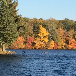 fall-lake-2016