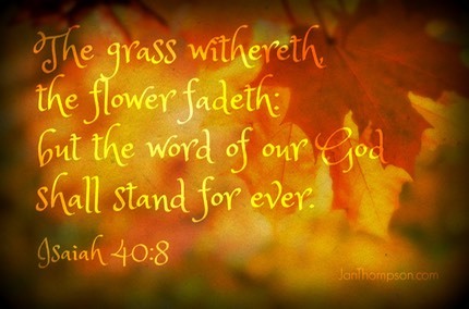 Isaiah 40 8-2