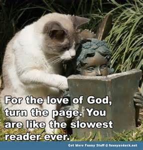 reader