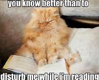 reader5