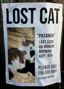 lost-cat-poster-pasanda-seattle-wa-092511