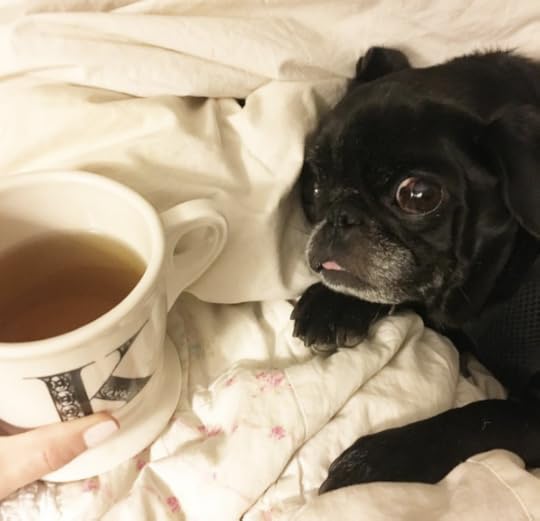 screen-shot-2016-10-21-at-12-15-41-pm