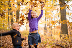 fall-kids-again