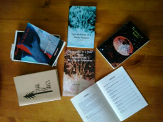 20160730_122658.jpg